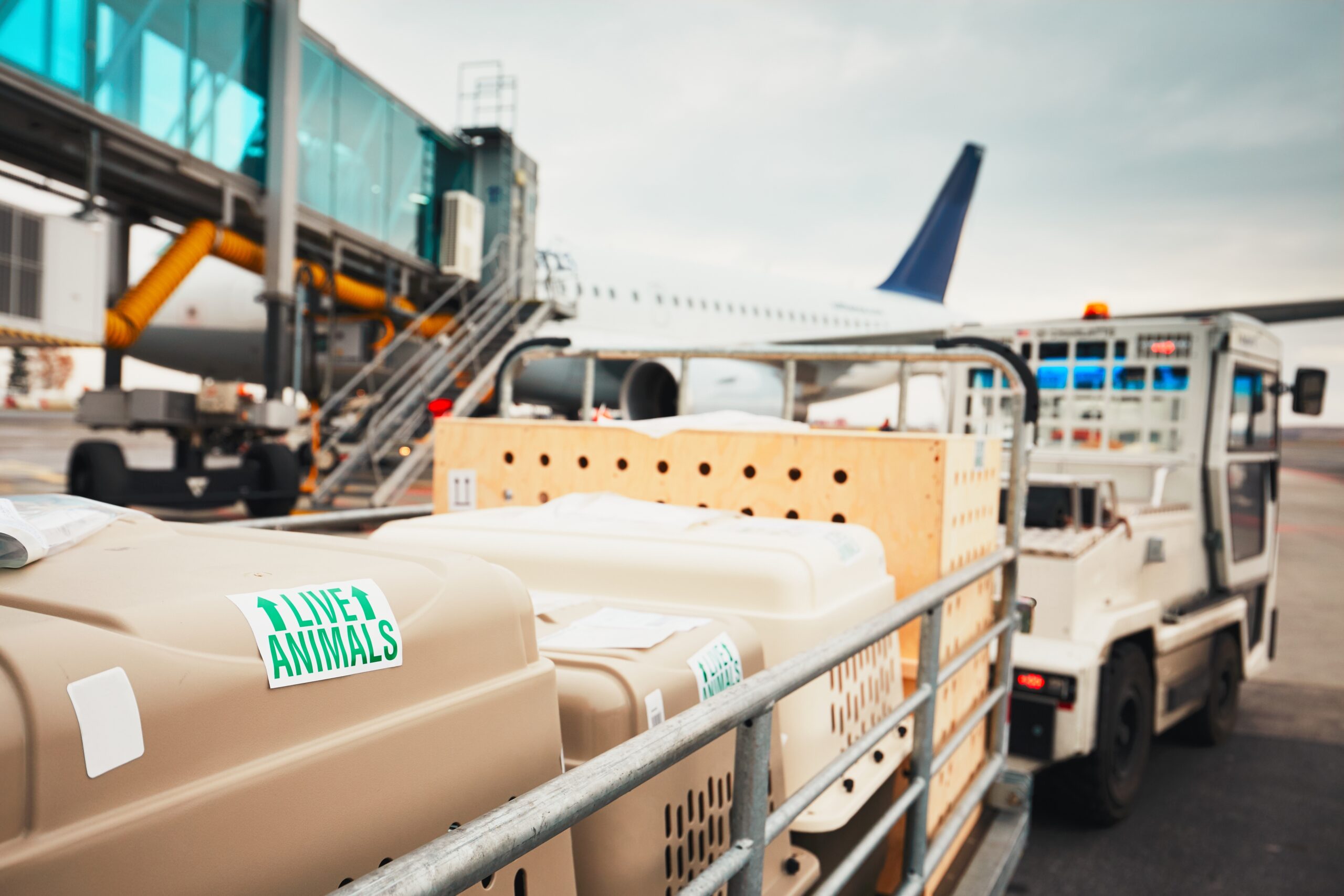 Customs Clearance China | Power Forwarding